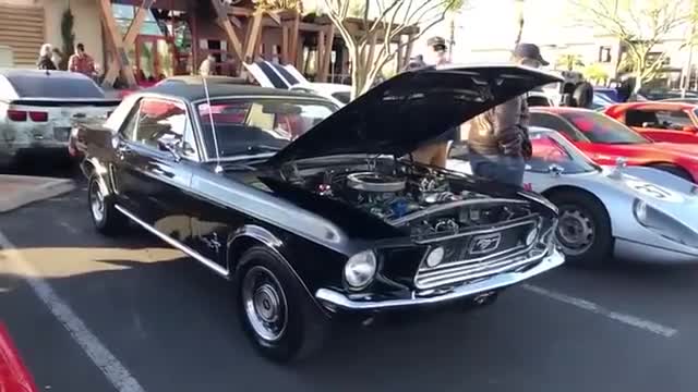 对于这样的经典汽车展示你感兴趣