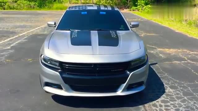 国外道奇战马实拍