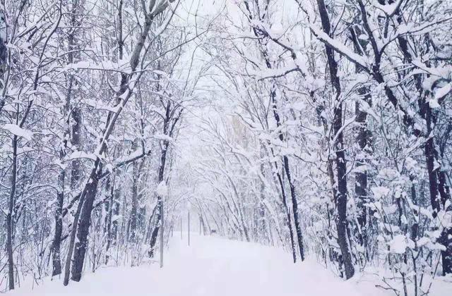 寒冬已至五句最适合下雪天发朋友圈的唐诗让你瞬间逼格满满