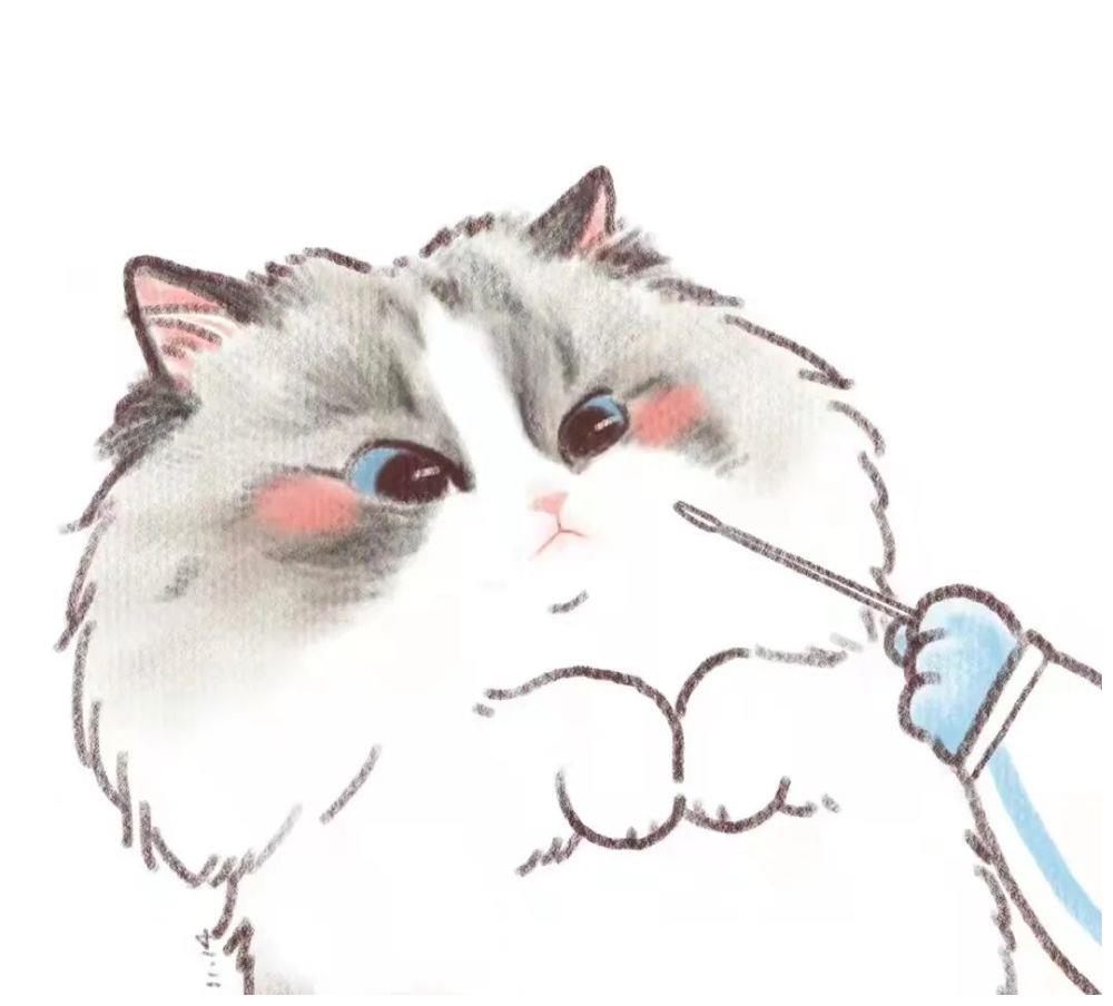 小猫咪做核酸检测会是什么样呢