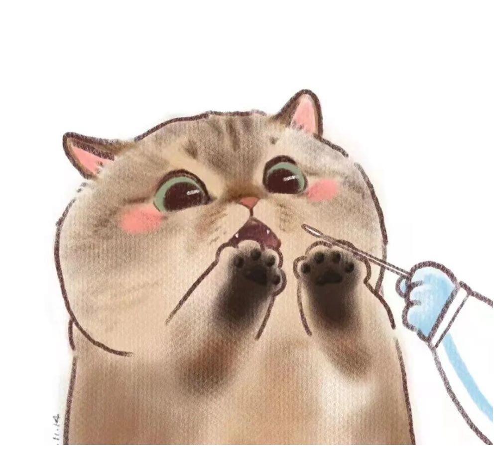 小猫咪做核酸检测会是什么样呢