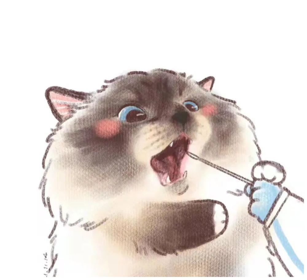 小猫咪做核酸检测会是什么样呢