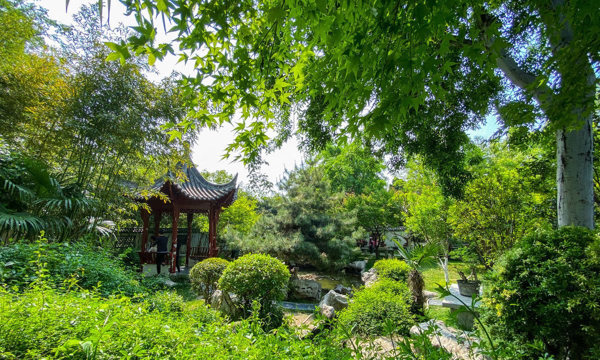 2020年4月21日,树木掩映碧水潺潺郑州紫荆山公园内"梦溪园".