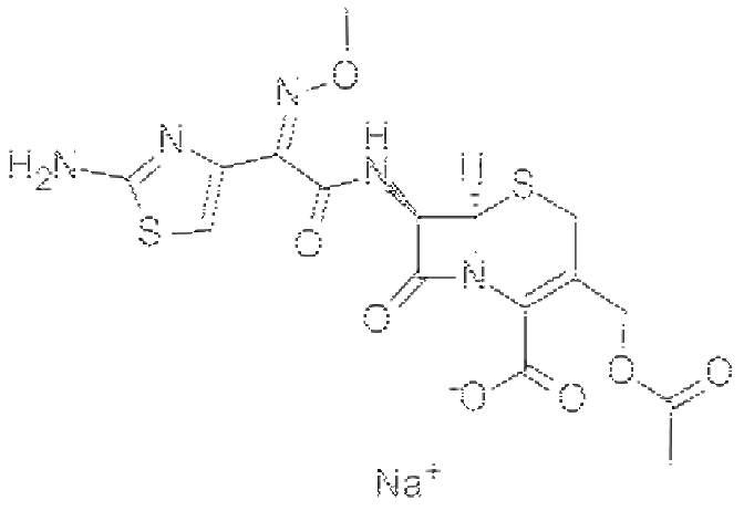 头孢噻肟钠 | 64485-93-4 | 瑞威尔生物科技