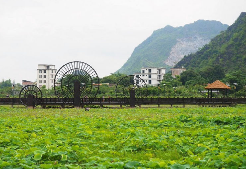 广西有一普者黑景区玉林五彩田园人少景美还免费