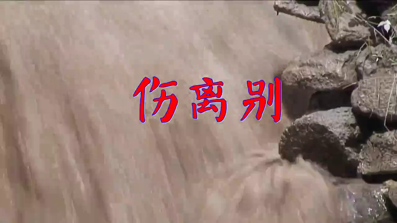 分享魏新雨的经典歌曲《伤离别》,唱的很专业,让人感到愉悦
