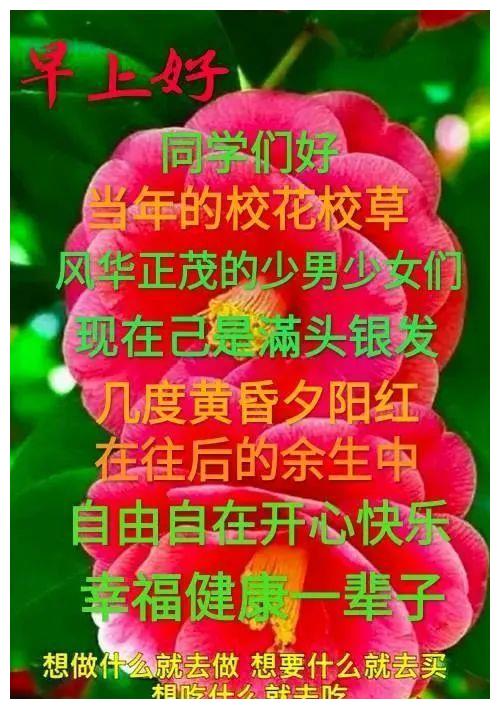 8张非常有创意好看的老同学早安问候图片带字推荐
