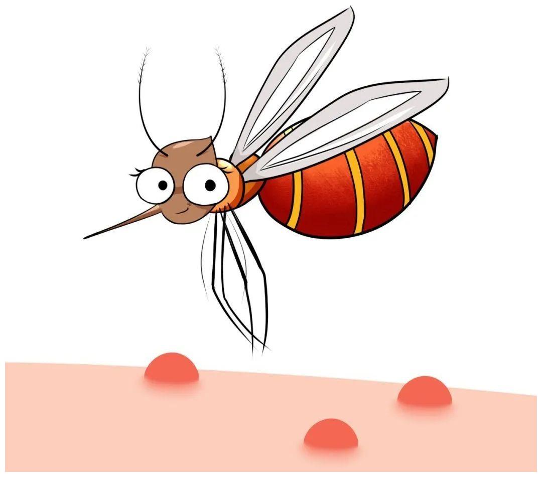 【蚊叮蟲咬】小朋友容易被蚊蟲叮咬 皮膚科醫生教4大方法舒緩痕癢！ | 親子王國