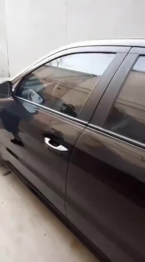 新车到家了，漂亮的捷达