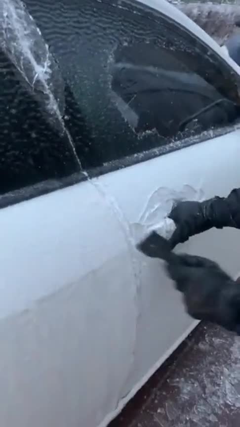 北方的汽车，又惨又好笑，大自然给了一个保护车衣