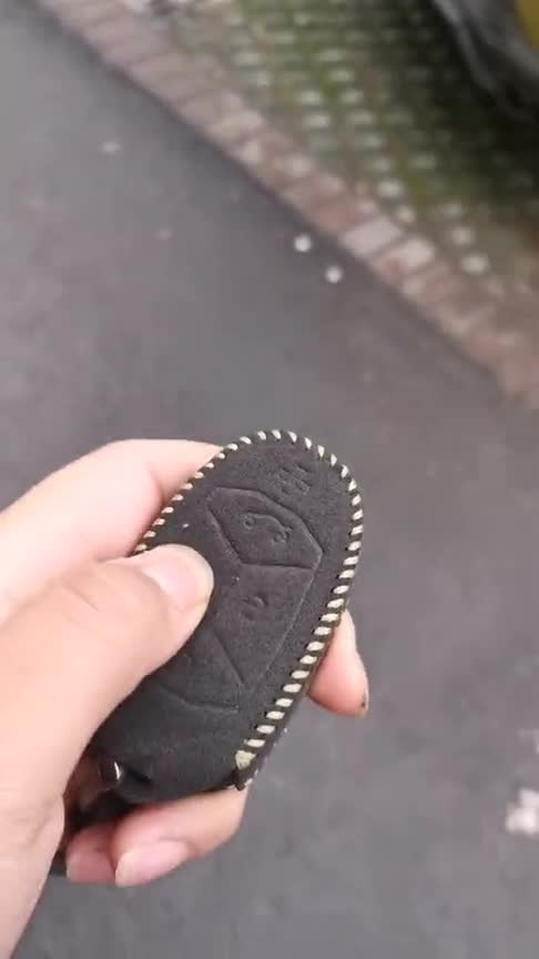 领克03原厂声浪，按下启动键那一刻，不愧是最强国产性能车！