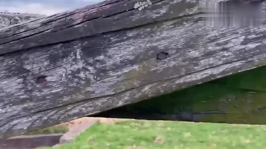 实拍2021款斯巴鲁森林人，有这颜值和空间