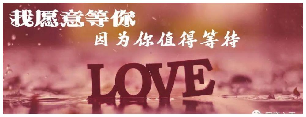 我愿意等你