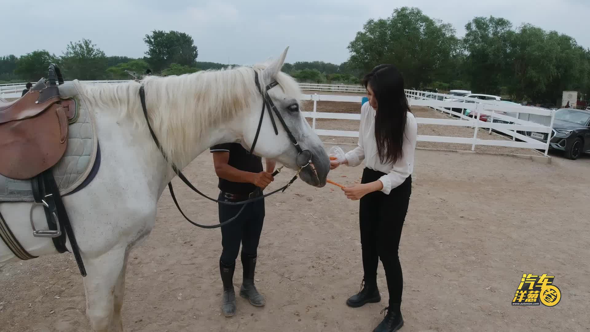 小众却有质！Vlog体验奥迪Q3轿跑！