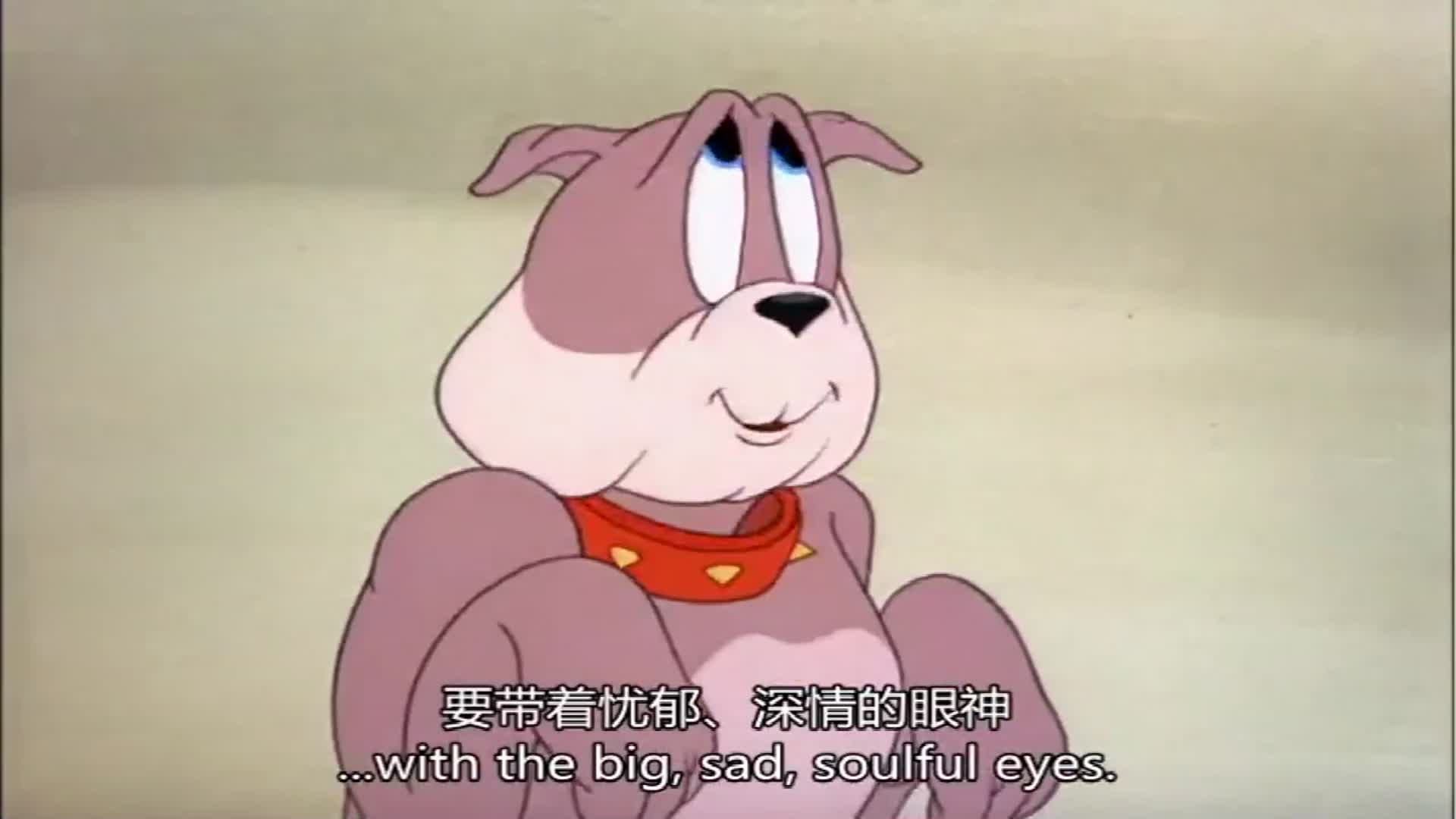 做狗的三点原则你知道吗看看斯派克怎么教育儿子真有爱啊
