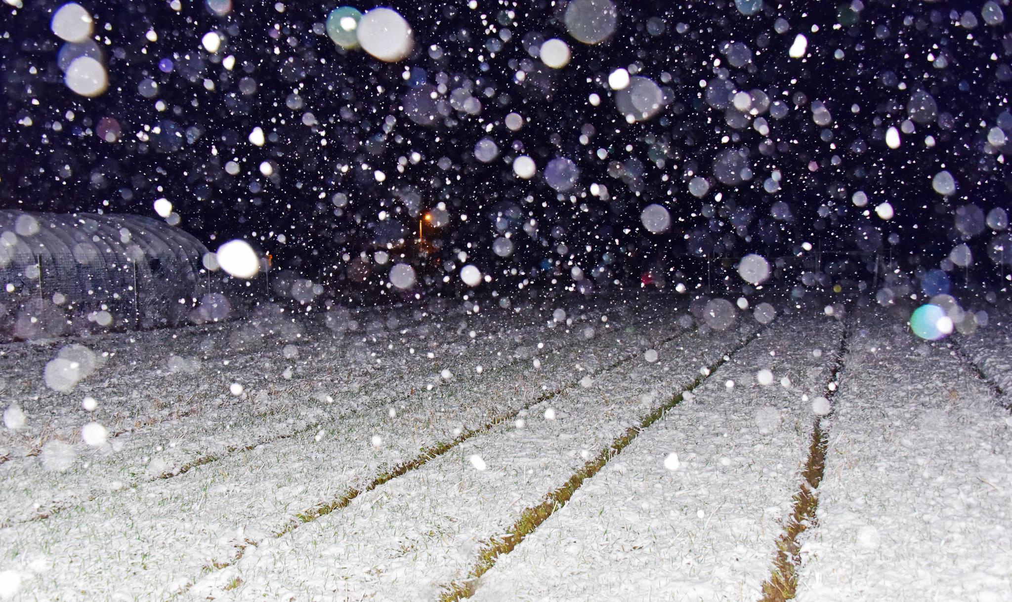乡村夜间的雪景