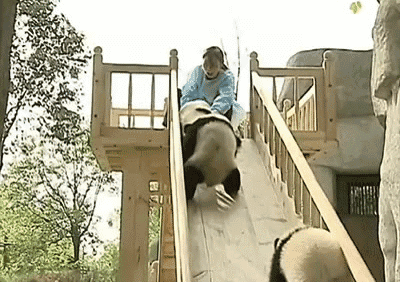 爆笑gif 搞笑趣图 托尼老师我服了