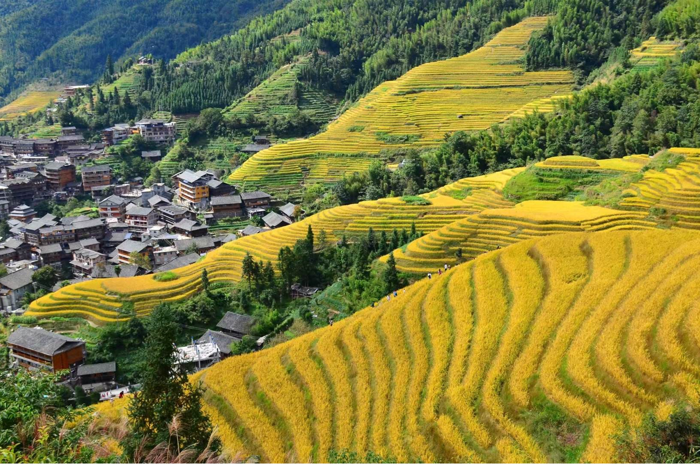 观赏行云流水的龙脊梯田层叠壮美游玩攻略详解