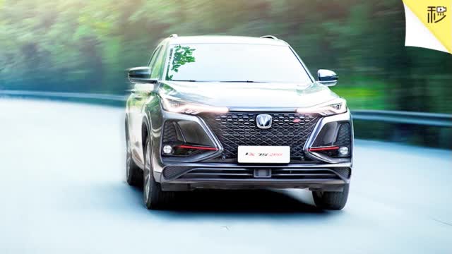 小加油站便宜油能买吗？买车前咋试驾？| 有问必答