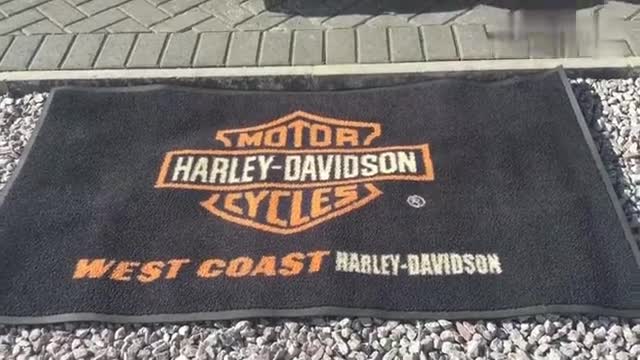 实拍哈雷“软尾司令”，质感爆棚，怠速声有“毒”！