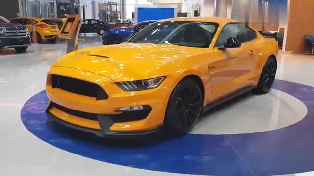 福特全新野马实车展示，看看是你的菜么？