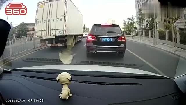 行车记录仪实拍：典型的油门当刹车，这种司机太坑人