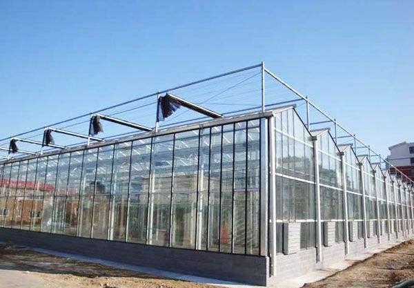 双层保温棚造价 53e3-ivwfwmp3091991.jpg