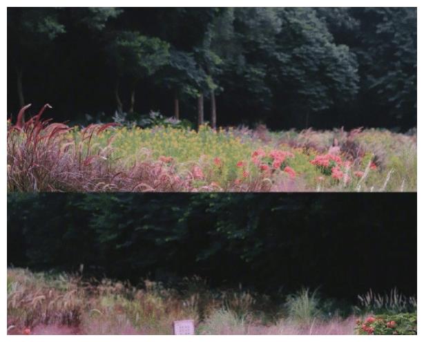 什么是莫奈花园风 0b81-kaqzmiw7898302.jpg