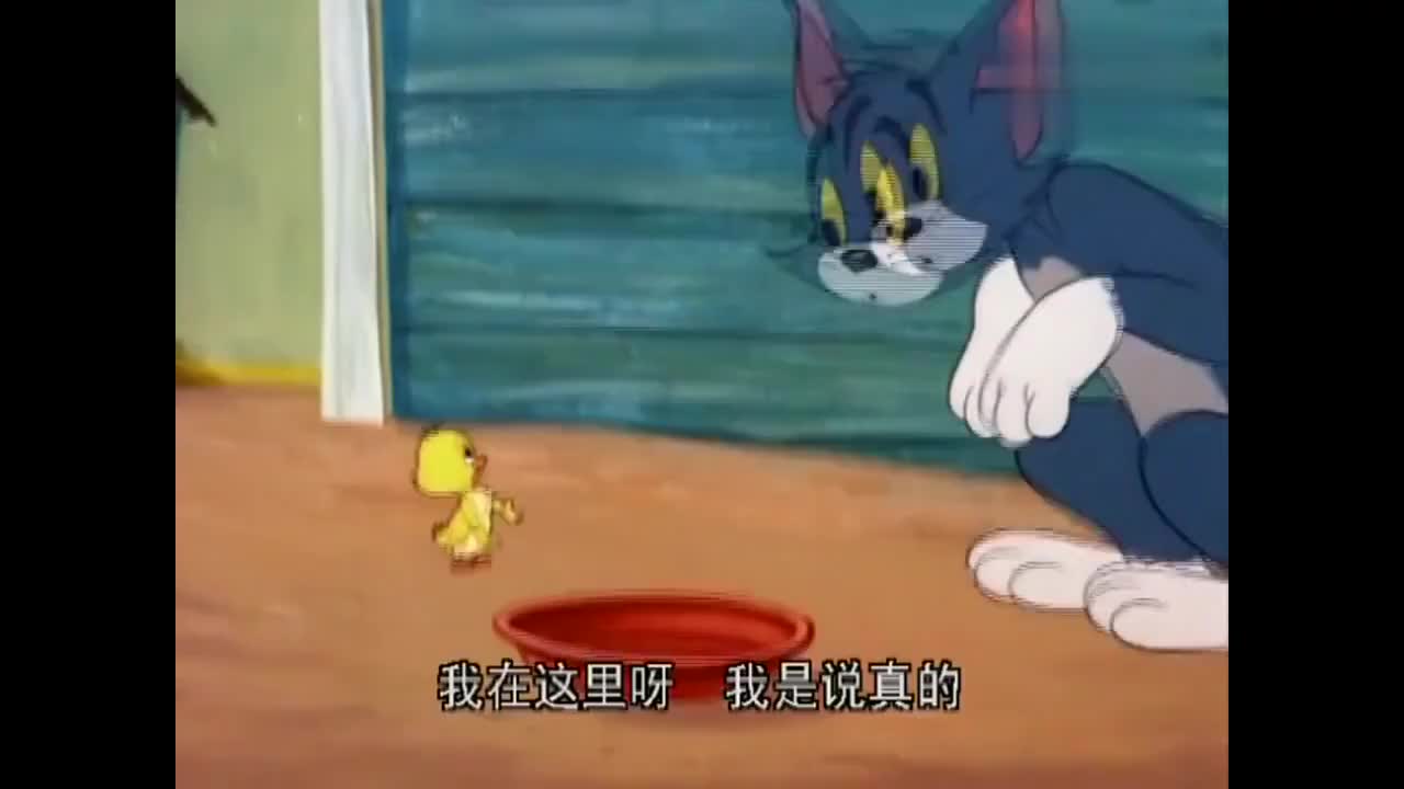 猫和老鼠:丑小鸭看到自己的样子好丑哦,大声哭起来了!