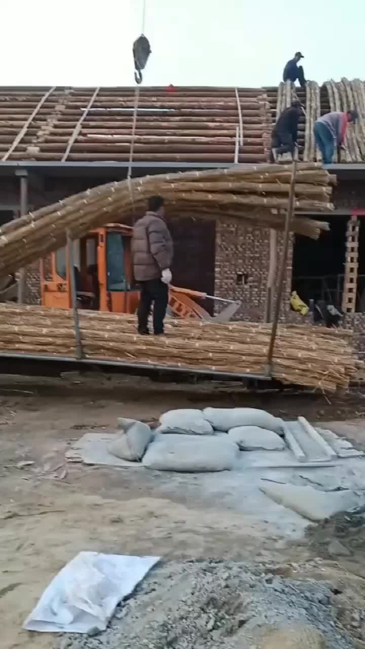 这样的房梁你们见过吗这样的房子一套下来很便宜