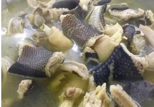 广东的龙虎凤为什么称为天下第一汤食材超乎想象怕了怕了