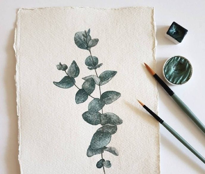 一组高级灰水彩植物插画分享!