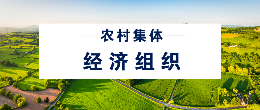 说说农村集体经济组织