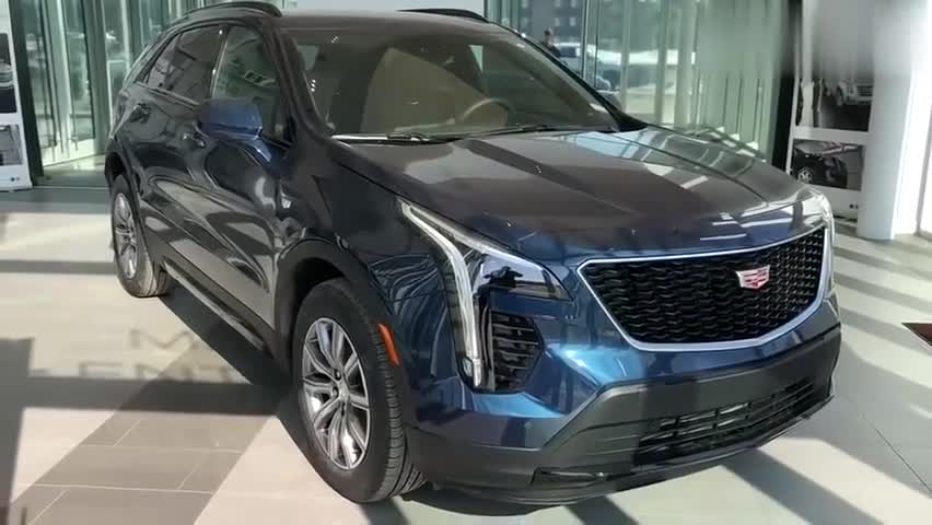 bb1c-kfxsuvx1039478.jpg