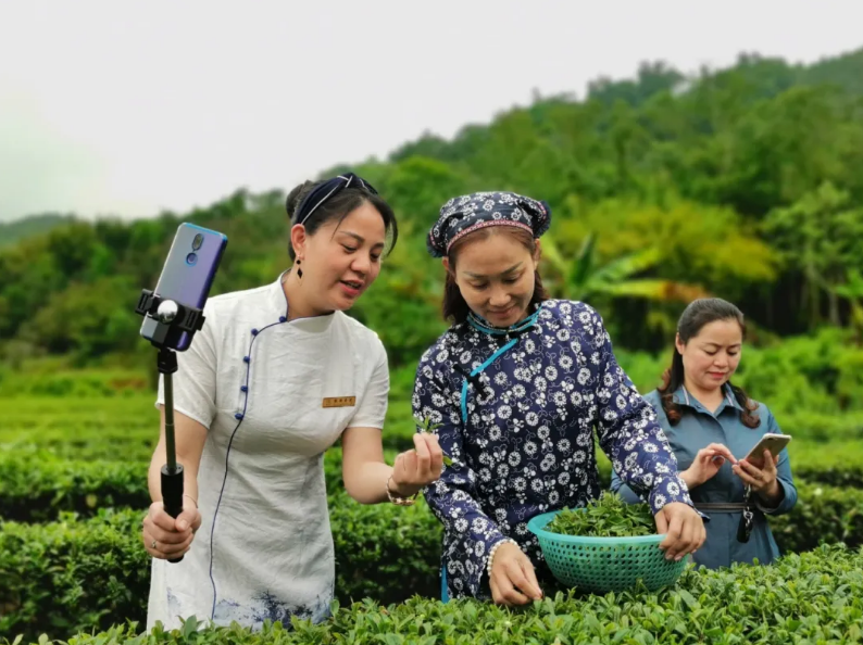 兰桂成坊人坊区的魅力与生活指南