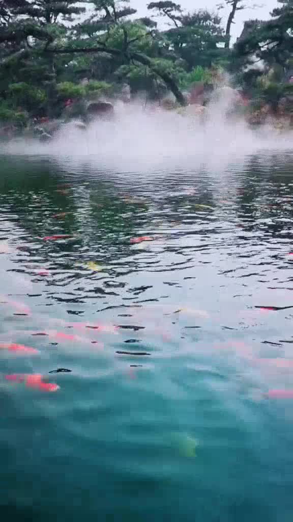 张韶涵的一首淋雨一直走歌声甜美动人真好听