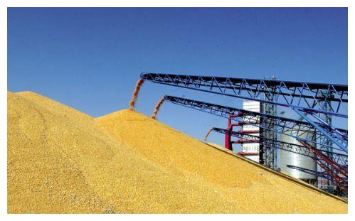 同样是人口大国,为何印度能向全球出口大米,我国却满世界买粮呢休闲区蓝鸢梦想 - Www.slyday.coM 同样是人口大国,为何印度能向全球出口大米,我国却满世界买粮呢休闲区蓝鸢梦想 - Www.slyday.coM