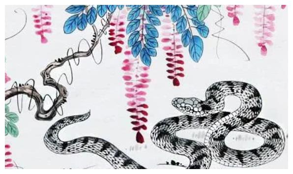 蛇是什么时辰出生好 aedb-kcpxnwv5764929.jpg