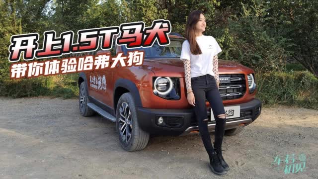 车若初见：“外刚内柔”1.5T兼顾家用 试驾哈弗大狗马犬版