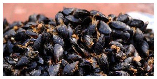 谁杀死了淡水贻贝？...