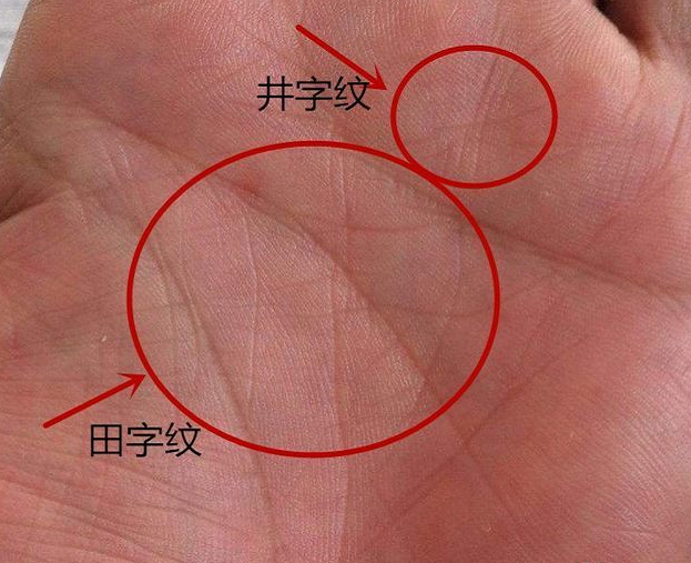 手有井字纹与田字纹,投资有天赋,理财可以成功