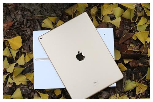 ipad air 5和ipad mini6哪款更清晰 7053-ivrxcey0663082.jpg