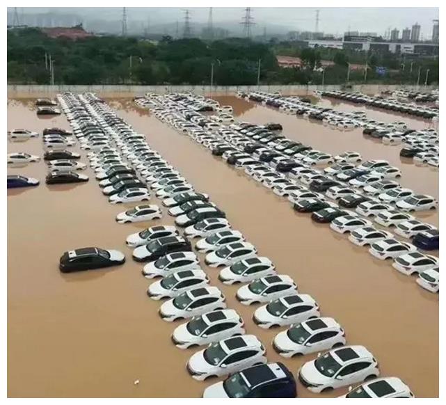 浙江一场大暴雨，揭开新能源“遮羞布”，刚买不到一年就报废了