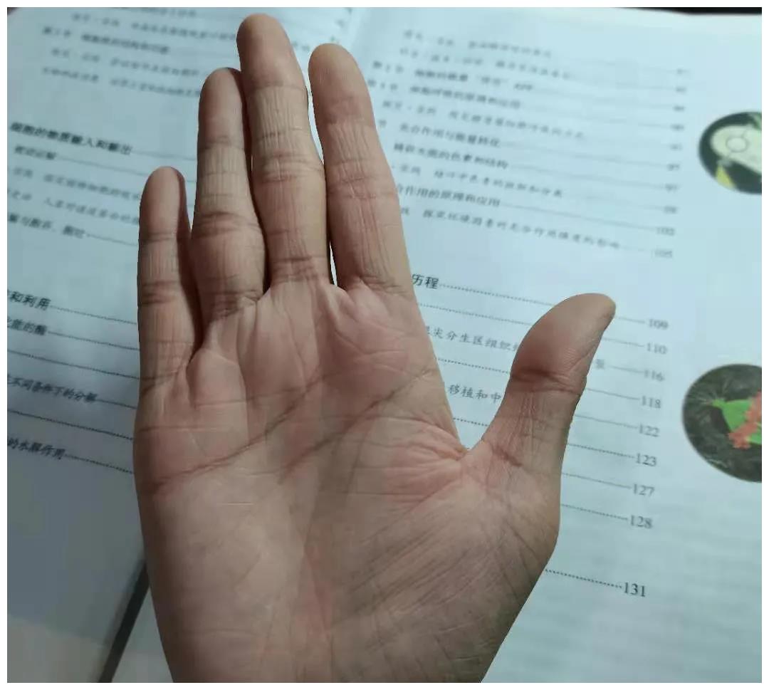 这手掌纹路人福运最好,情财兼收