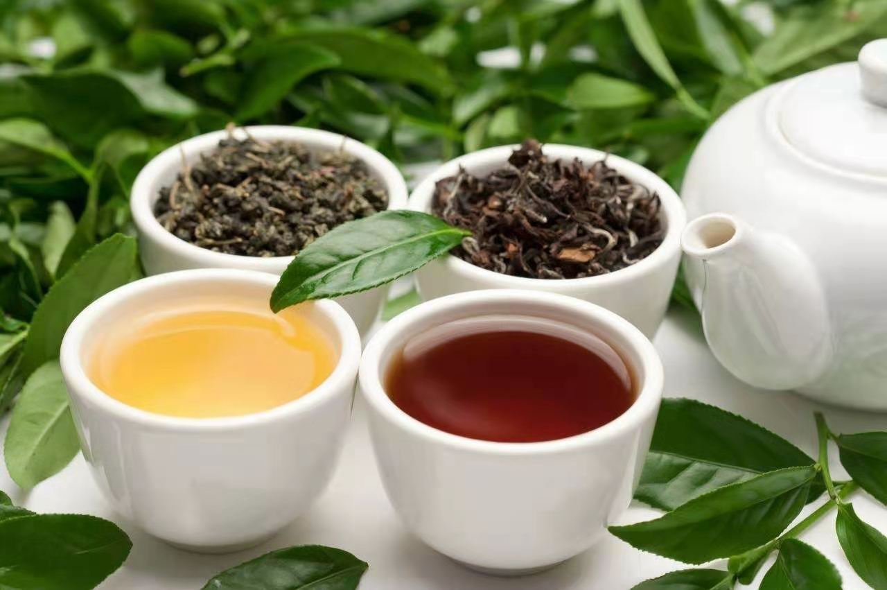 凌云白毫茶:"闻道凌云出好茶,半口清香人人夸"