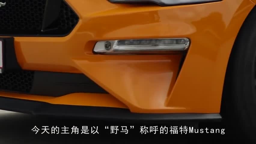 暴力声浪2019福特野马mustangv85.0l__财经头条
