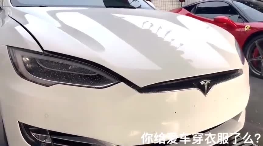 你给爱车穿衣服了么贴隐形车衣