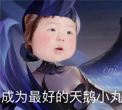 表情包:抖音热门可爱的丸子表情包