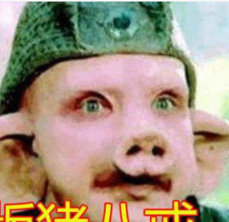 不同国家的猪八戒,以为泰国版的很离谱了,看到韩国:欧巴的味道|猪八戒