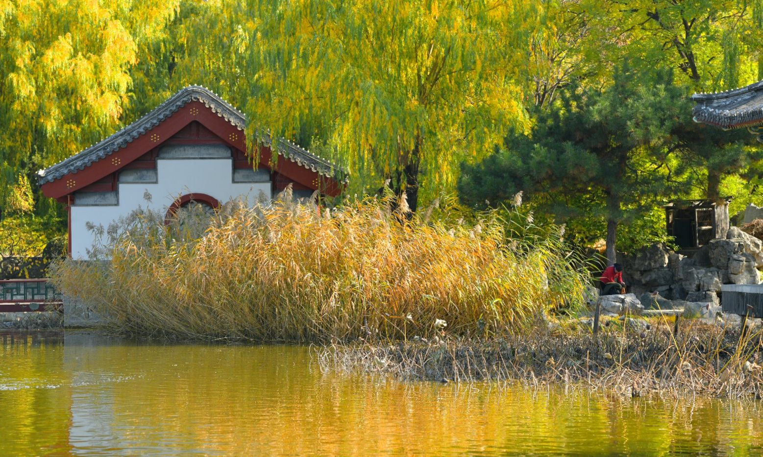 走进京城——深秋的大观园